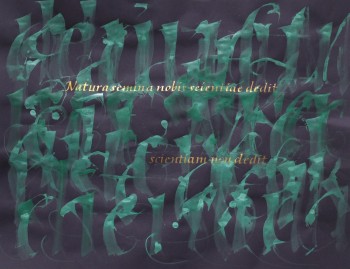 Nr. 3 Natura 2025 Pigmente a. Pap. 50 x 65 cm