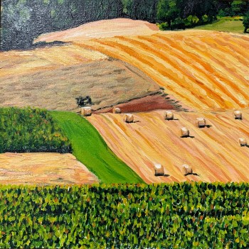 Nr. 9 Erntestreifen II 2015 Öl a, Malplatte kaschiert 30 x 30 cm