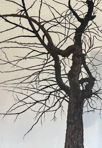 Nr. 1 Baum nackt 2023 Öl a. Lw. 90 x 60 cm