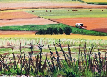 Nr. 10 Claas II 2010 Öl a. Malplatte 30 x 40 cm